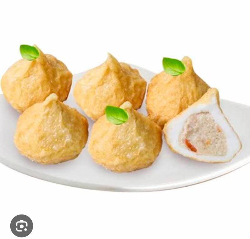 dumpling ayam