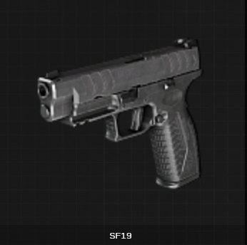 HS SF19
