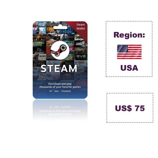 STEAM WALLET (USD)