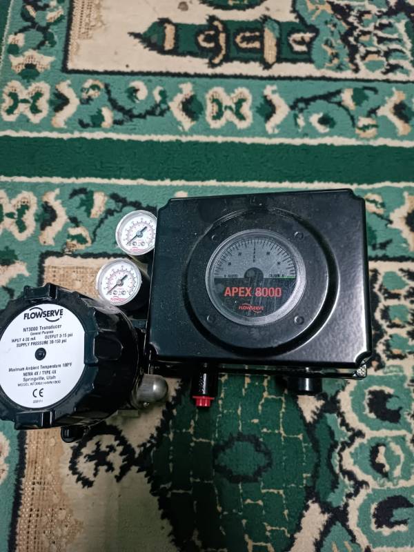 Positioner I to p Flowserve Apex 8000