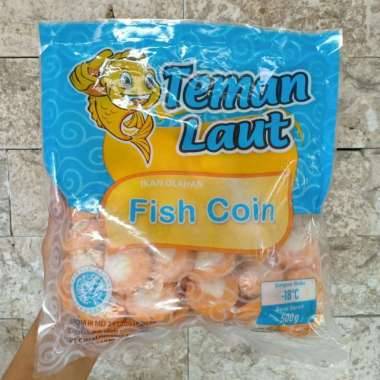 TEMAN LAUT FISH COIN 500GR (12)