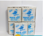Cottonbus Dewasa Dunia Luii/Lusin