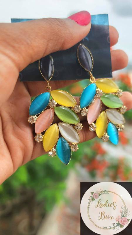 Multicolor Earring🌺