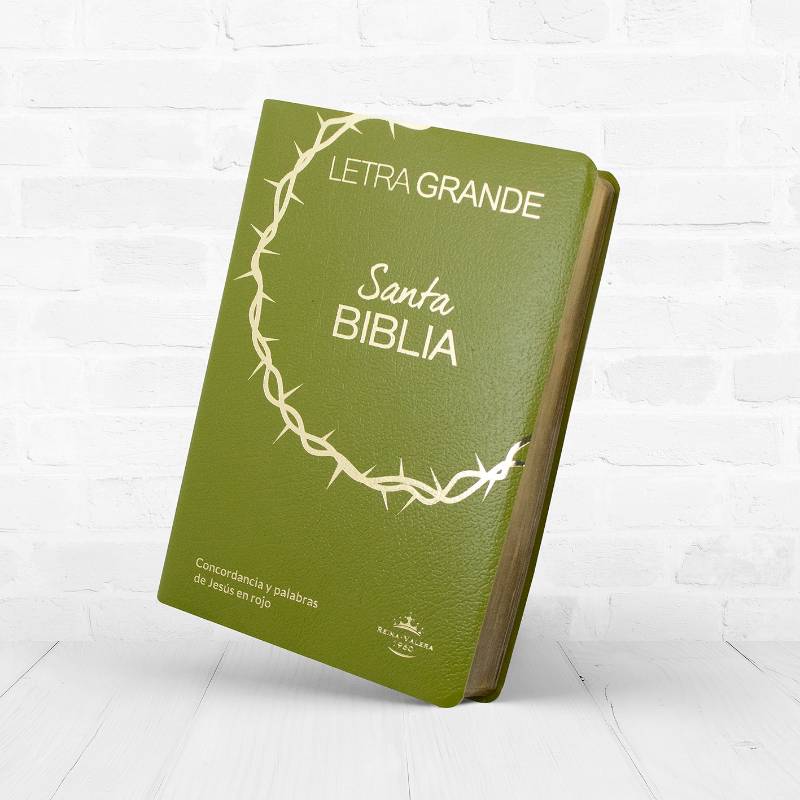 Biblia RVR1960 Letra Grande 12 puntos , Verde