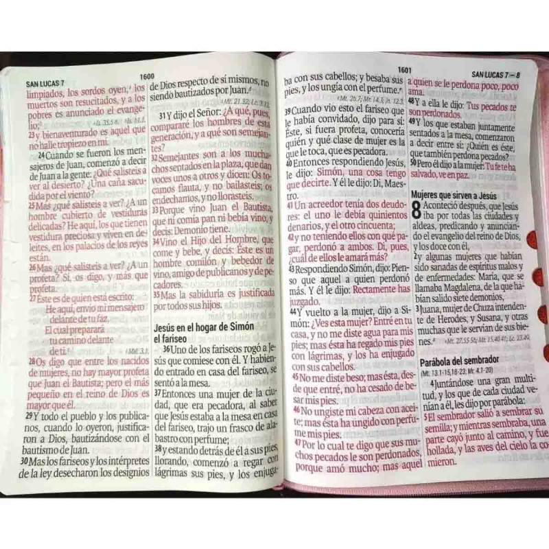 Biblia Letra Supergigante 19 Pts Reina Valera 1960 Imit Piel Roja
