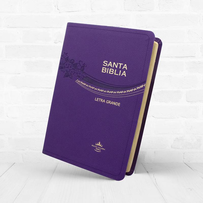 Biblia Reina Valera 1960 letra grande