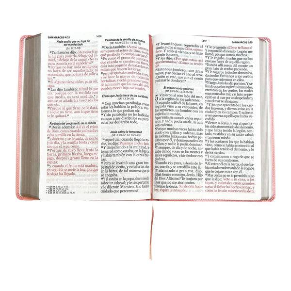 Biblia RVR1960, Letra Super Gigante,  Imitación Piel Rosa Claro