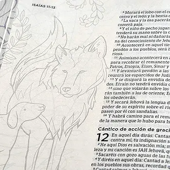 Biblia de Apuntes Edición Ilustrada