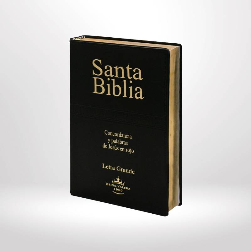 Biblia Reina Valera 1960 Letra Grande, filo dorado