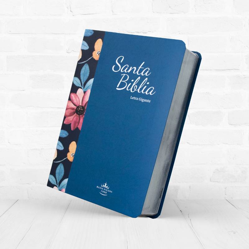 Biblia Letra Gigante 14 puntos