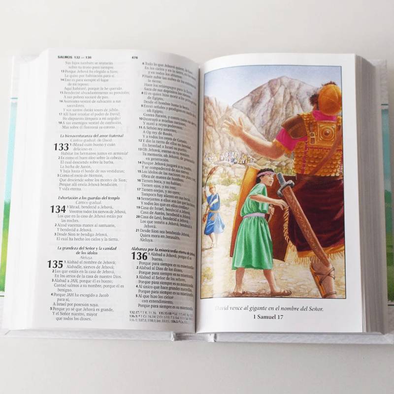 Biblia Ilustrada para Niños Reina Valera 1960 Filo Plateado