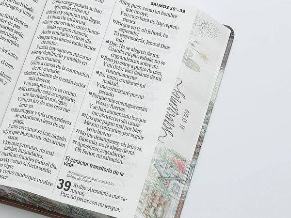 Biblia RVR1960,  Letra Super Gigante,  Yo y mi Casa
