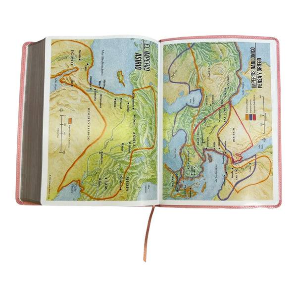 Biblia RVR1960, Letra Super Gigante,  Imitación Piel Rosa Claro