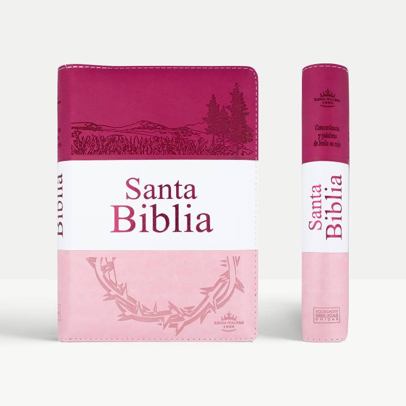 Biblia Letra grande Tritone Rosa RVR1960