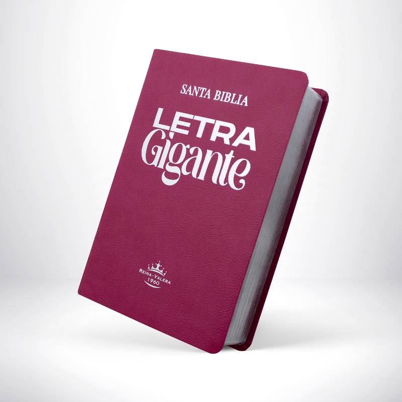 Biblia RVR1960 Letra Gigante 14 puntos filo plateado