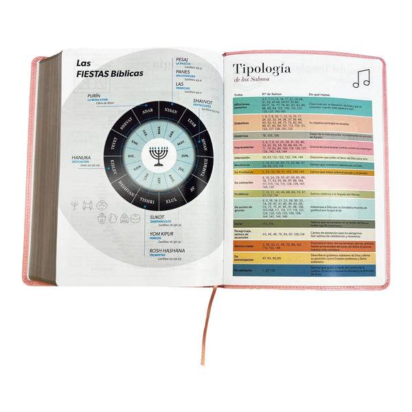 Biblia Fucsia RVR1960 , letra super gigante, imitación piel