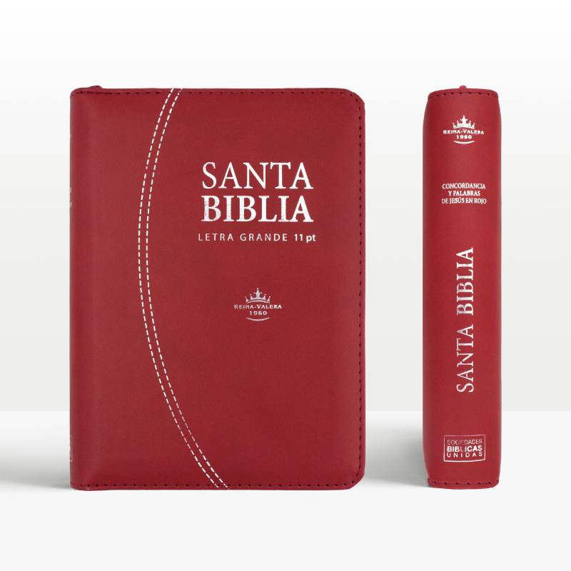 Biblia Mediana Letra grande con Estuche