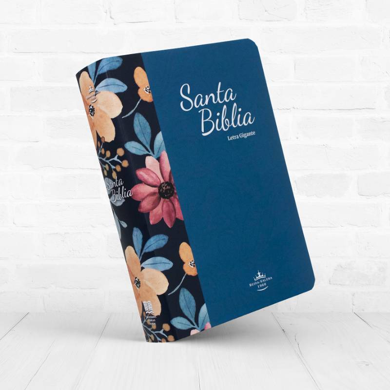 Biblia Letra Gigante 14 puntos