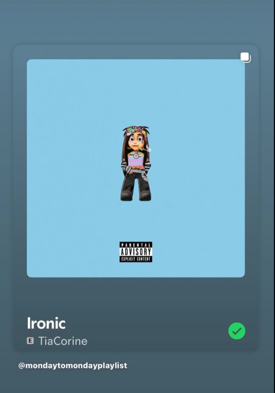 IRONIC 🙂↔️🍃