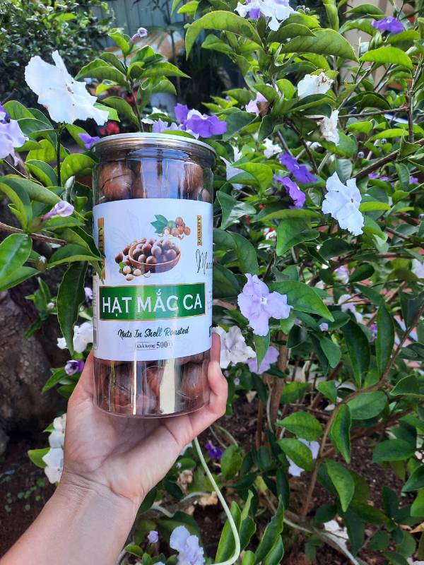Hạt macca sấy (chưa tách nhân)
