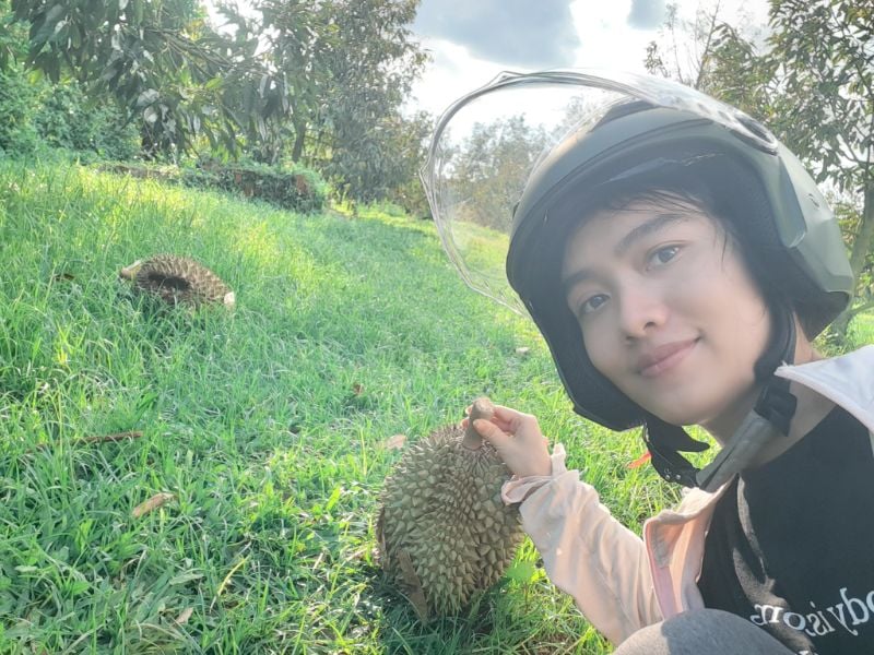 Sầu riêng nhà trồng