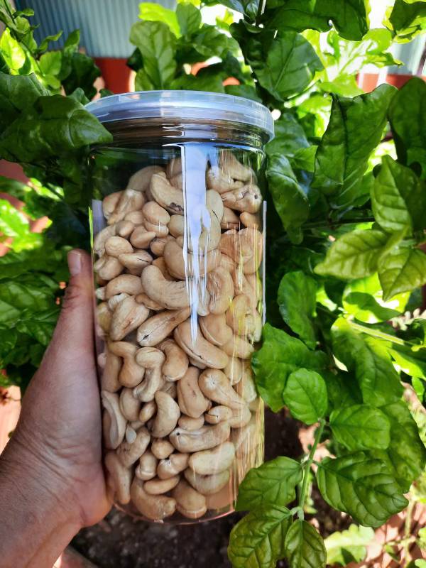 Hạt điều bóc vỏ nguyên vị (hạt nguyên)