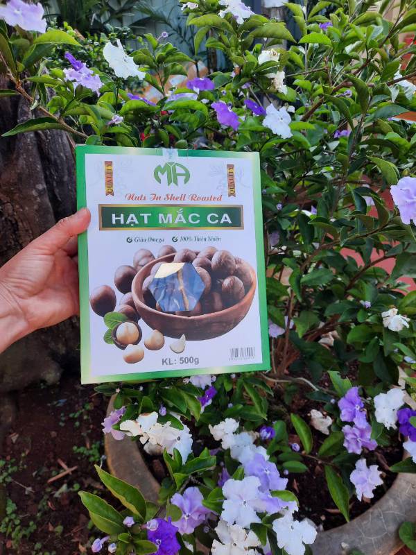 Hạt macca sấy (chưa tách nhân)
