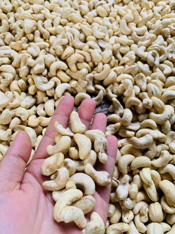 Hạt điều bóc vỏ nguyên vị (hạt nguyên)