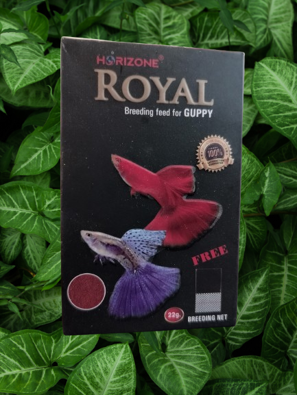 Royal Guppy Pellet breeding Feed with Almond Leaf for breeding , Breeding Net Free.