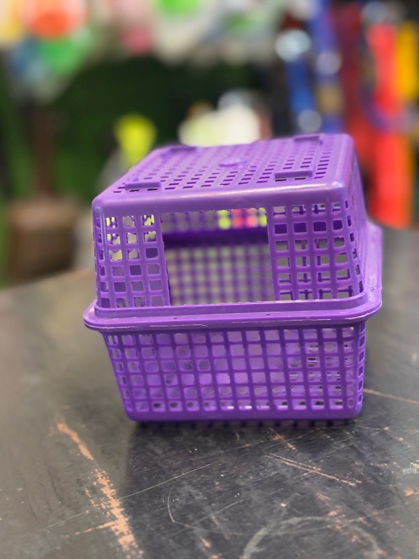 Birds Breeding Box Finches Nest Box