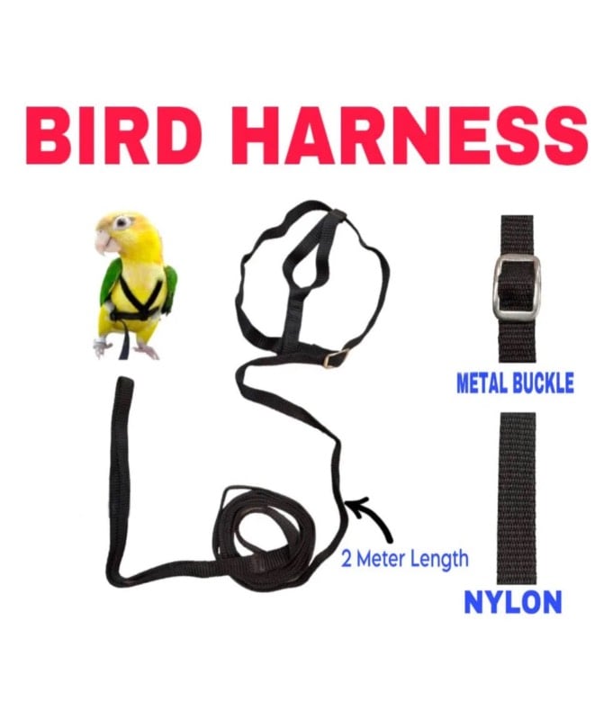 Bird Harness Adjustable Durable Reusable Safe Great for Training, exercise & Playing