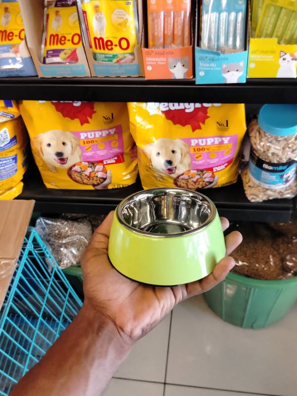 Elevated Cat Bowl Feeder Food Water Feeder Bowl for Cats, Kittens & Puppies | Persian Cat Food Bowl Tilted Raised Bowl Anti Vomiting 15° Slanted Bowl  Green