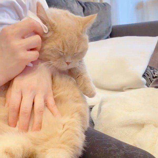 Ear Cleaning