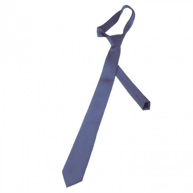 Seragam Nasional SMA - Putri