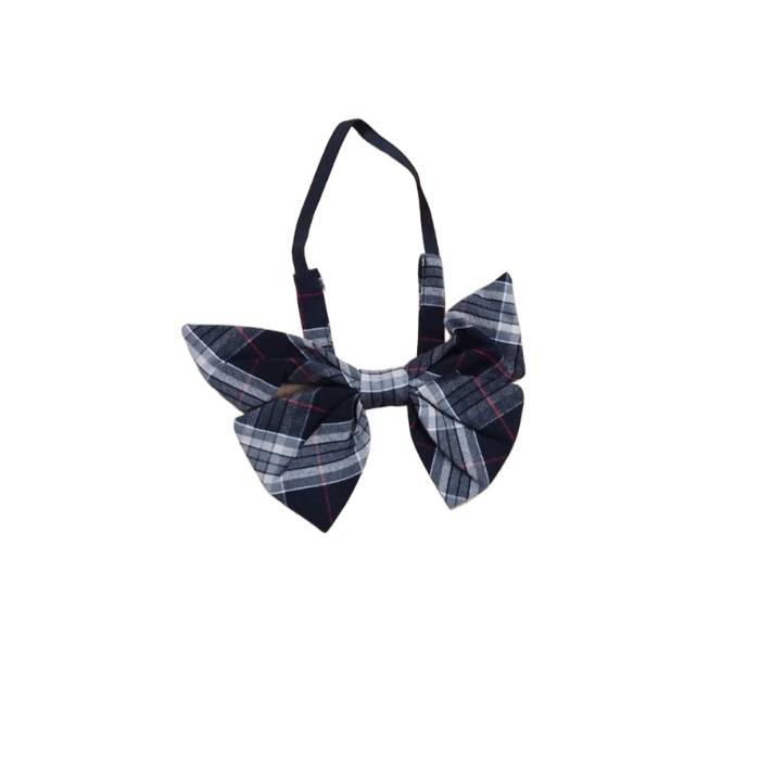 Seragam Darma Yudha SMA - Putri