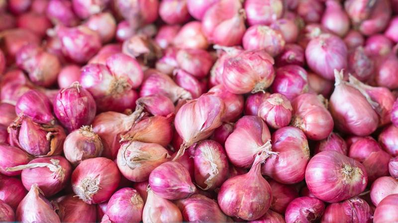 Shallot