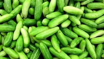 Ivy gourd