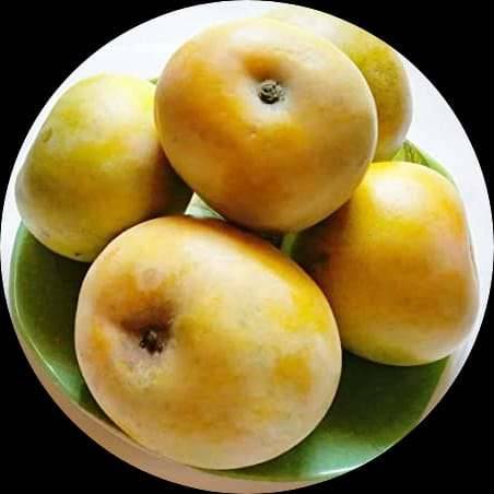 Rumani