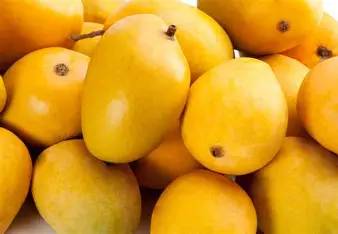 Alphonso