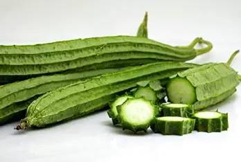 Ridge Gourd