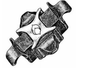 5637R