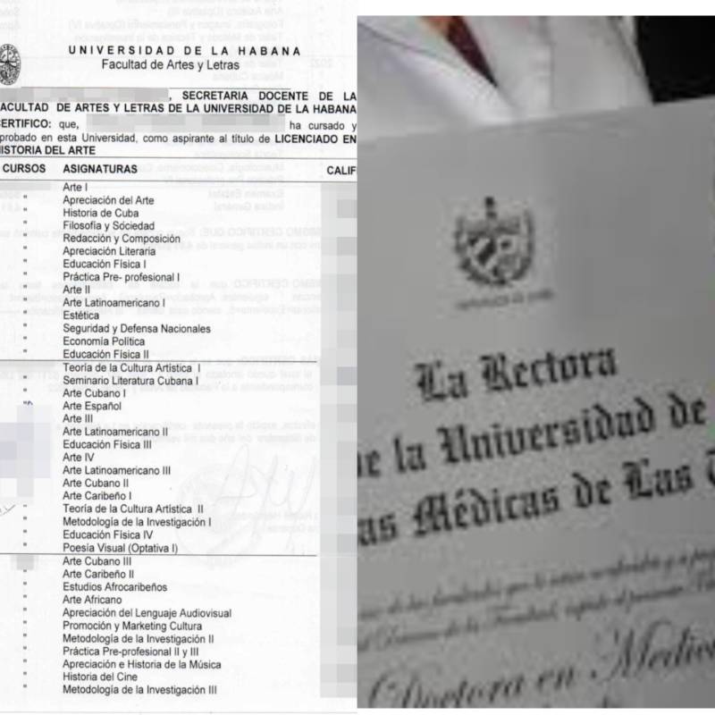 Título y Notas