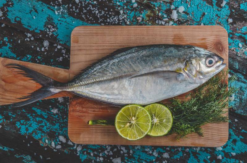 Trevally Fish (Vatta)