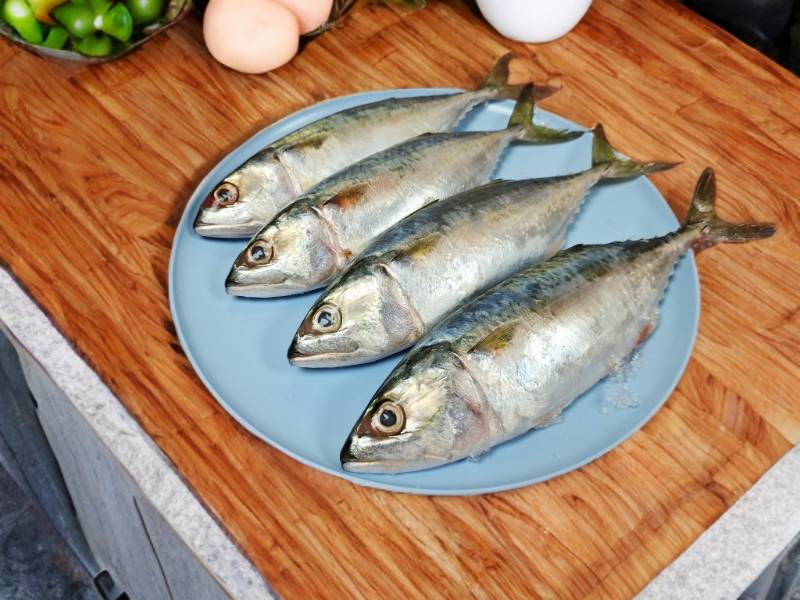 Indian Mackerel(Ayala)