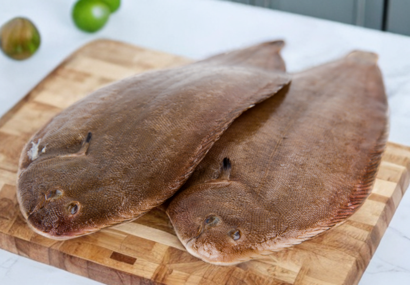 Marine Sole fish(Manthal)