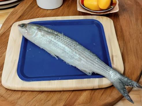 Gray Mullet/Thirutha/Bhangor