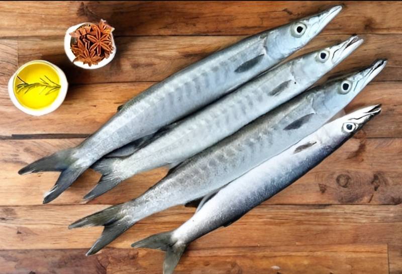 Barracuda( Cheelavu)