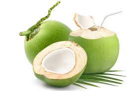 kelapa muda