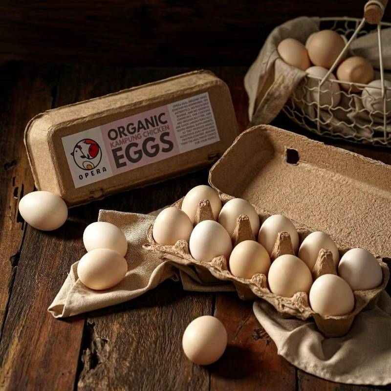 Telur ayam kampung organik