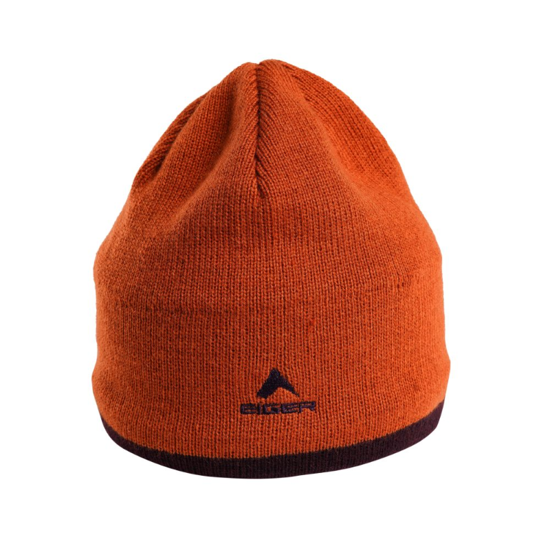 910009415 DICKSON ECO T